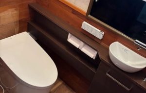 TOTO　ネオレスト(ワンデーリモデル)